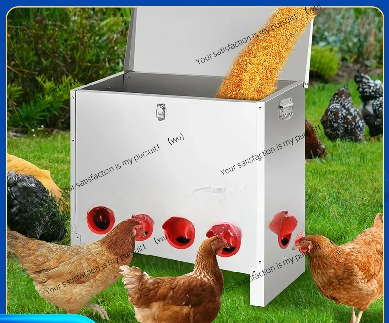 

supply Automatic feeder Chicken trough Food box Chicken trough Feeding equipment Chicken rice trough Poultr
