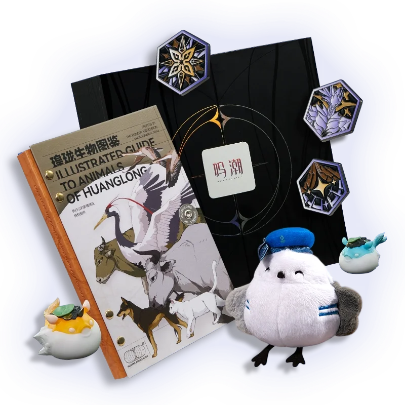 

Sunsyea Wuthering Waves Official Merch Original Authentic GCLH Giftbox