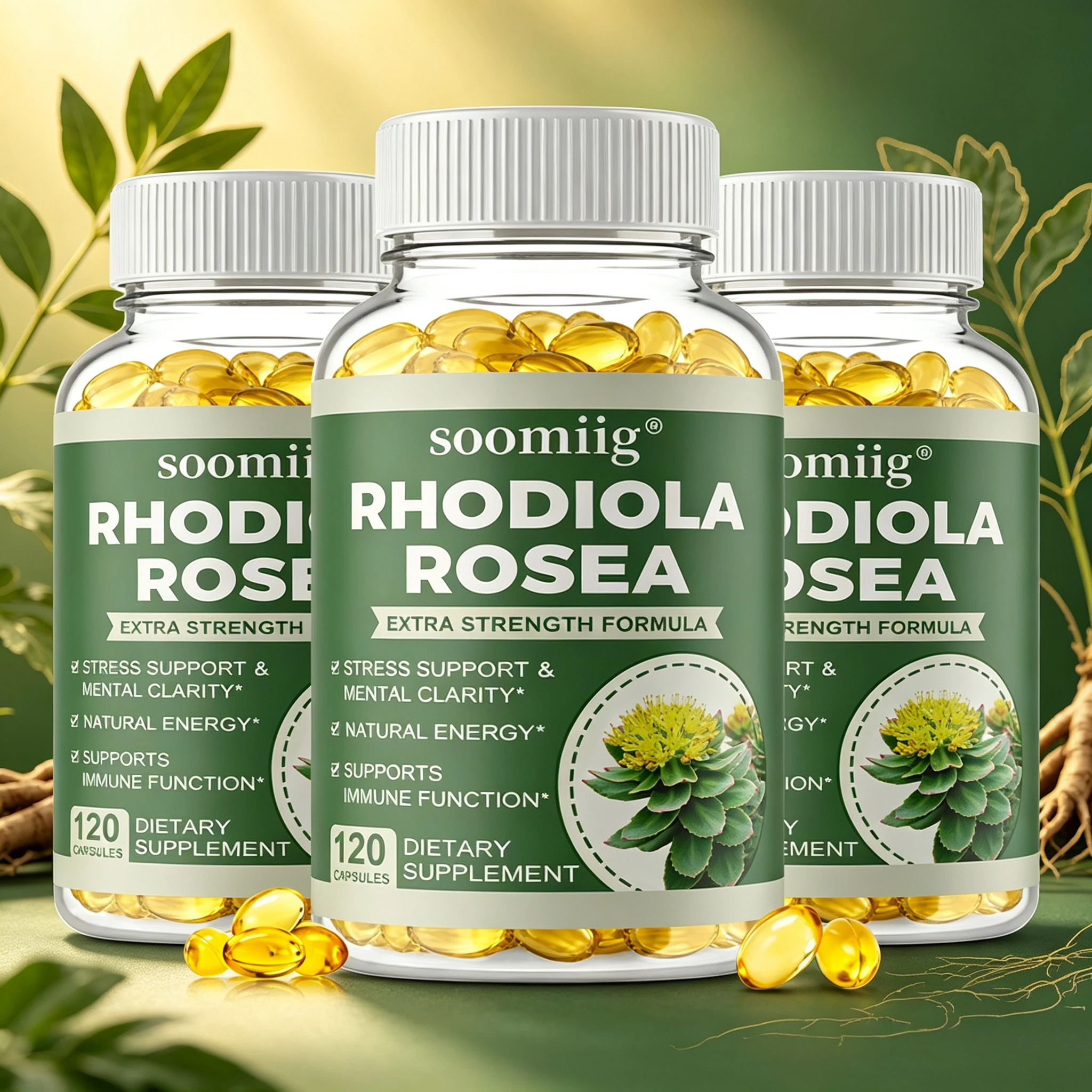 Rhodiola Rosea Capsules Natural Herbaceous Plants Supplement for Daily Stress Support & Energy Balance