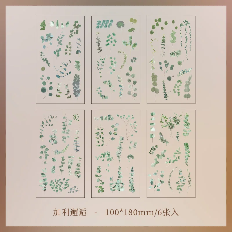 6pcs/pack Transparent PET Stickers Scrapbooking Materials DIY Junk Journal Collage Floral Leaves Plants Decor Stickers