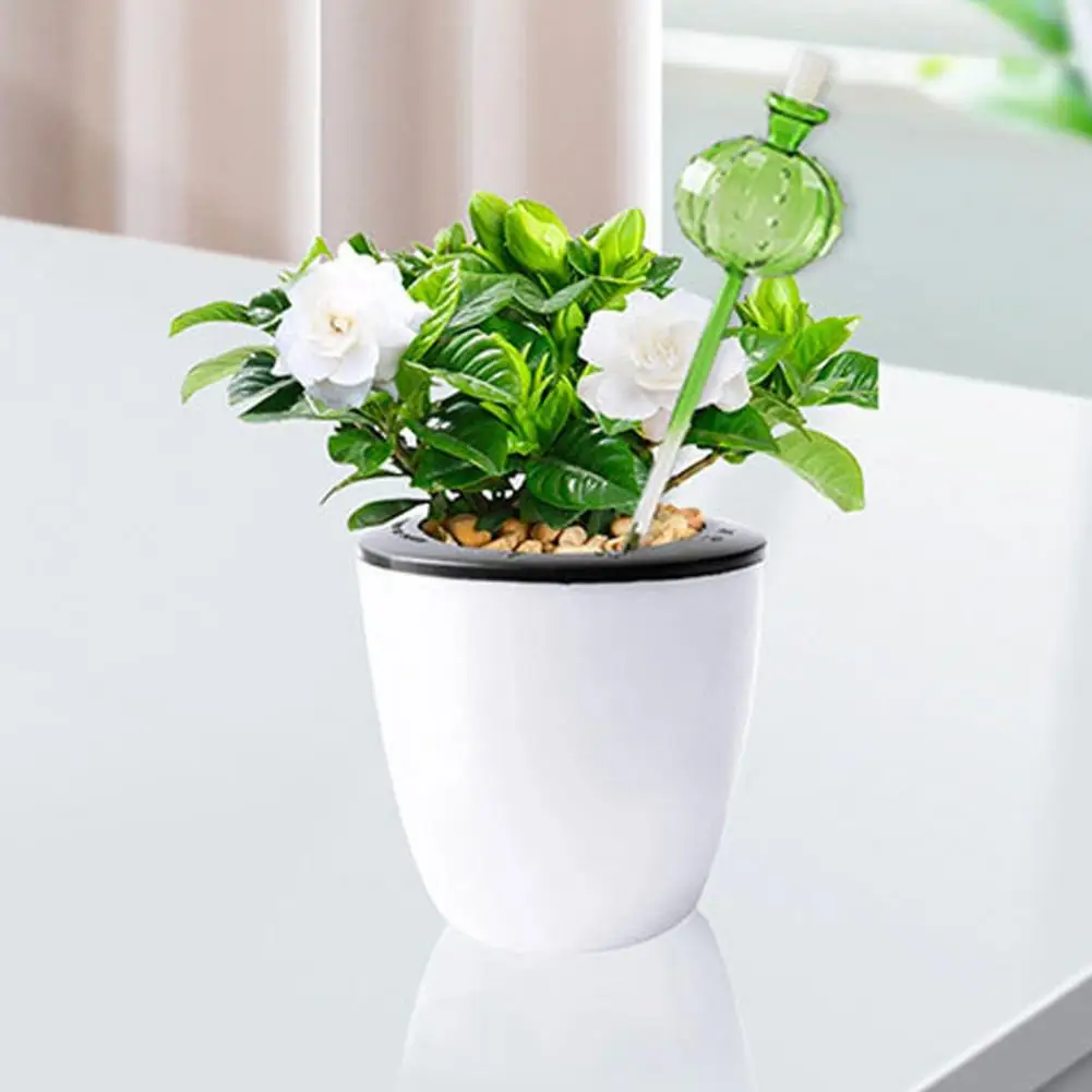 Wide Opening Plant Watering Devices Plant Watering Bulbs with Stoppers Self Watering Globes for Indoor Outdoor Plants Vacation