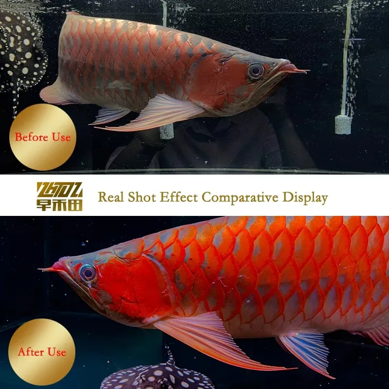 Jujube Hetian aquarium light with regular brightness adjustment aquarium light