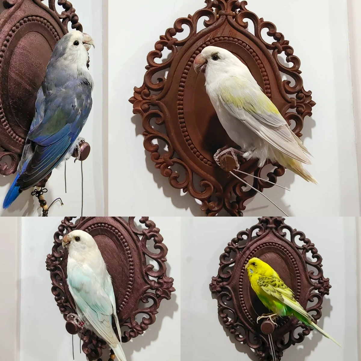 

2017 Wholesale Bird Sculpture Retro Decorative Board Home Animal Jewelry Pendant Wedding Supplies Christmas Halloween Gifts