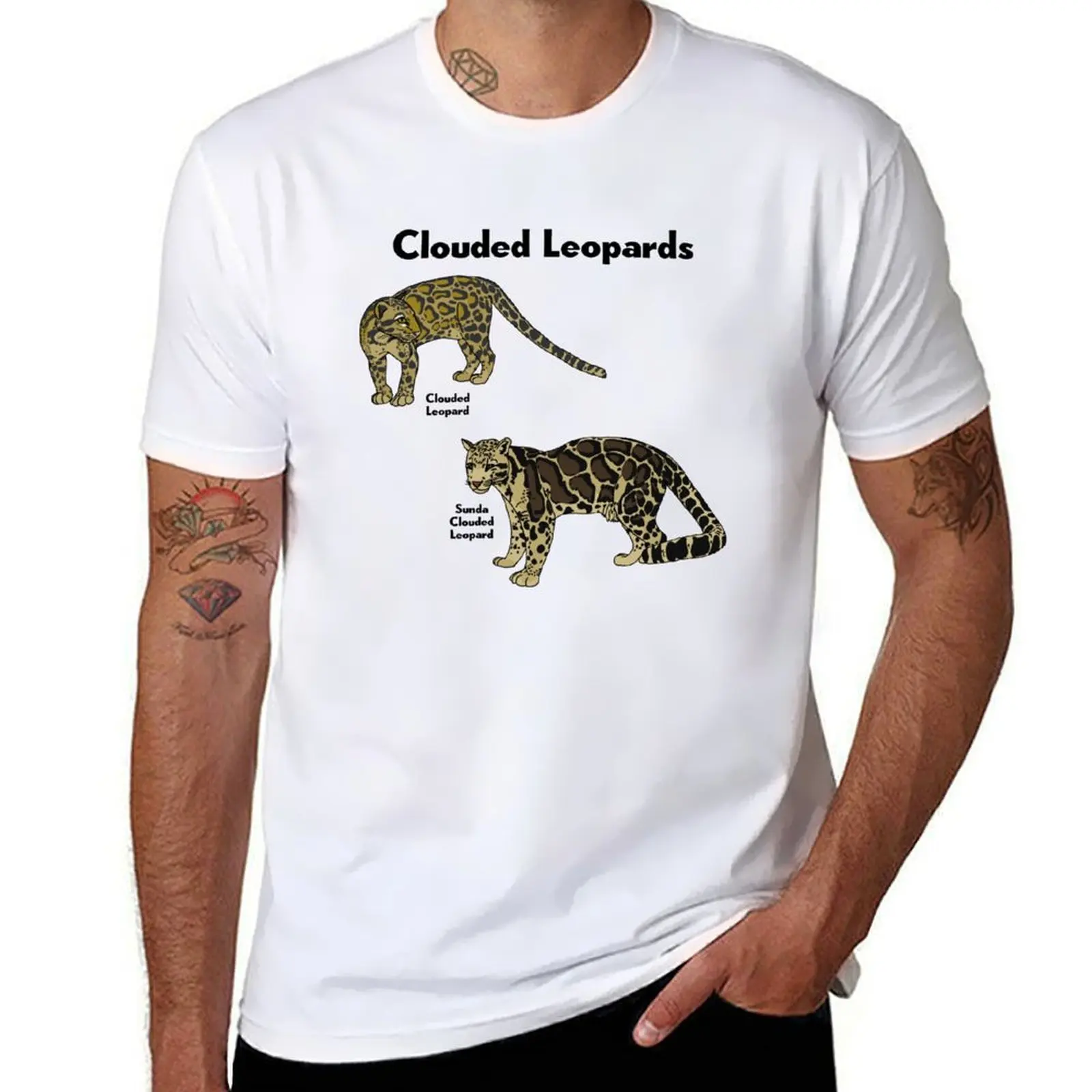

Clouded Leopards T-Shirt t shirts for man pack cotton man t shirt graphic T-Shirt