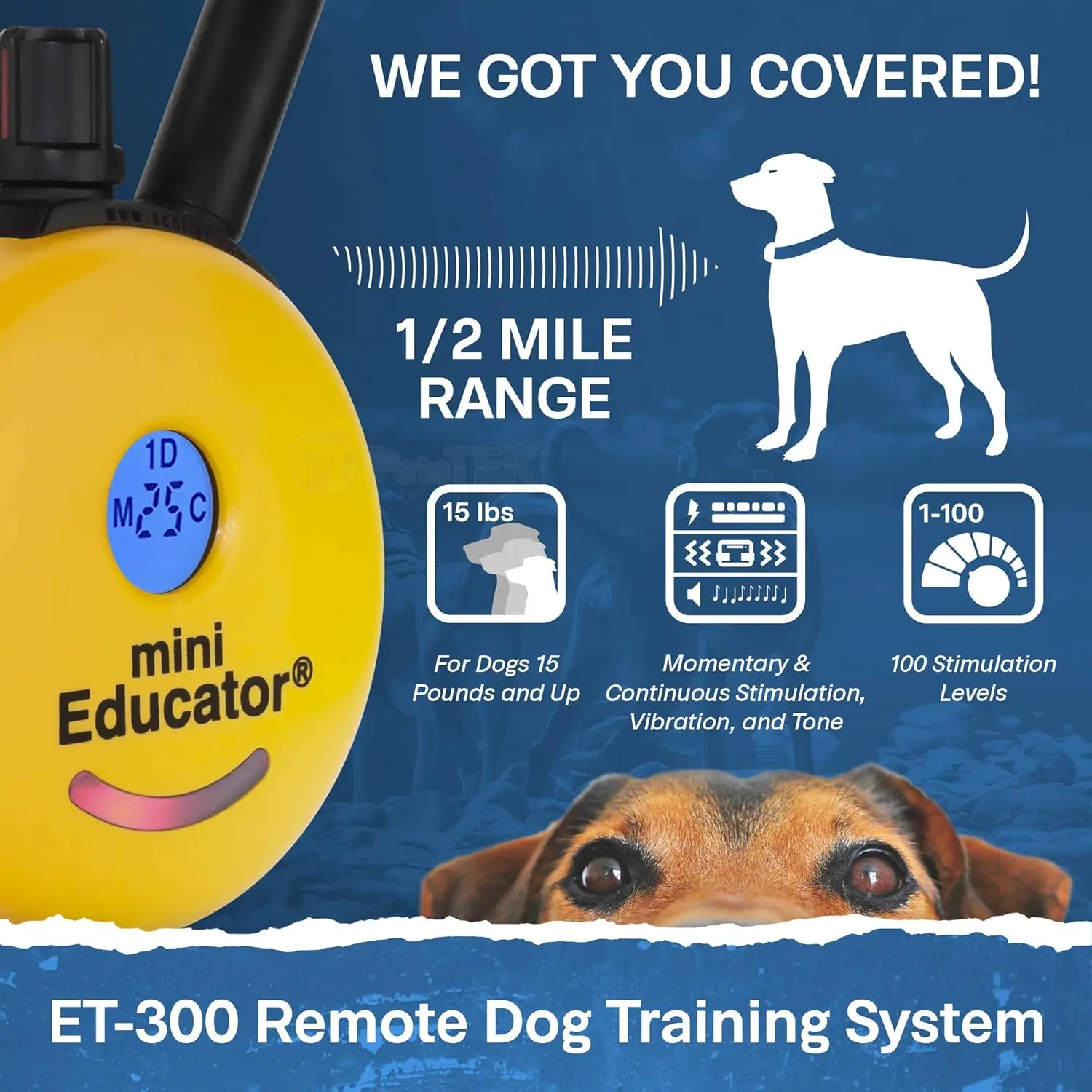 300-1/2 Mile Remote Waterproof Trainer Mini Educator Remote Training Collar - 100 Training Levels Plus Vibration a