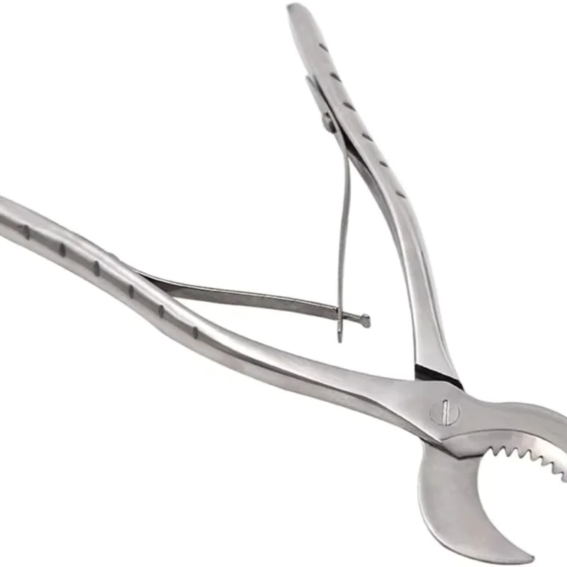 

Стоматологические плоскогубцы, кусачки для штукатурки, стоматологическое лабораторное оборудование, ножницы для штукатурки из нержавеющей стали