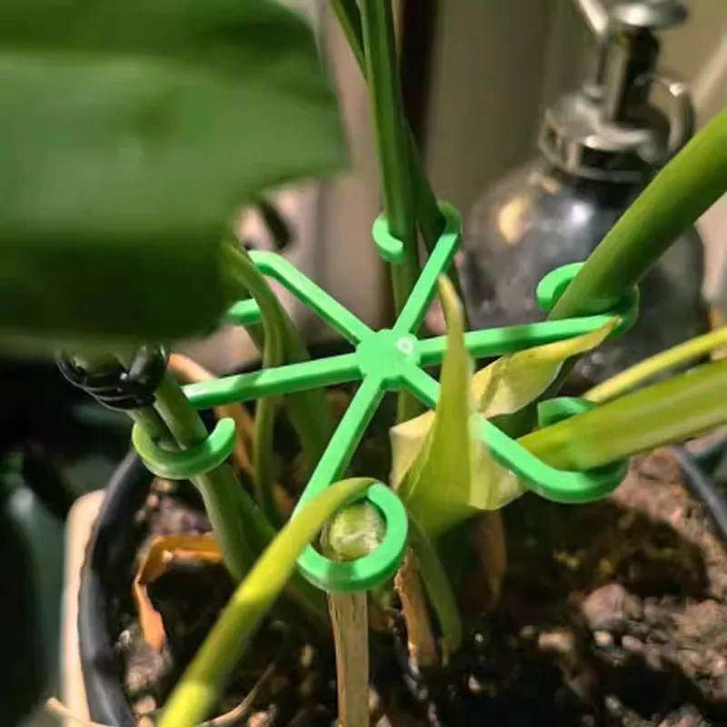 Plant Stem Gatherer Support Stakes, Anti‑Lodging Fixing Frame for Monstera, Green Plants & Climbing Vines