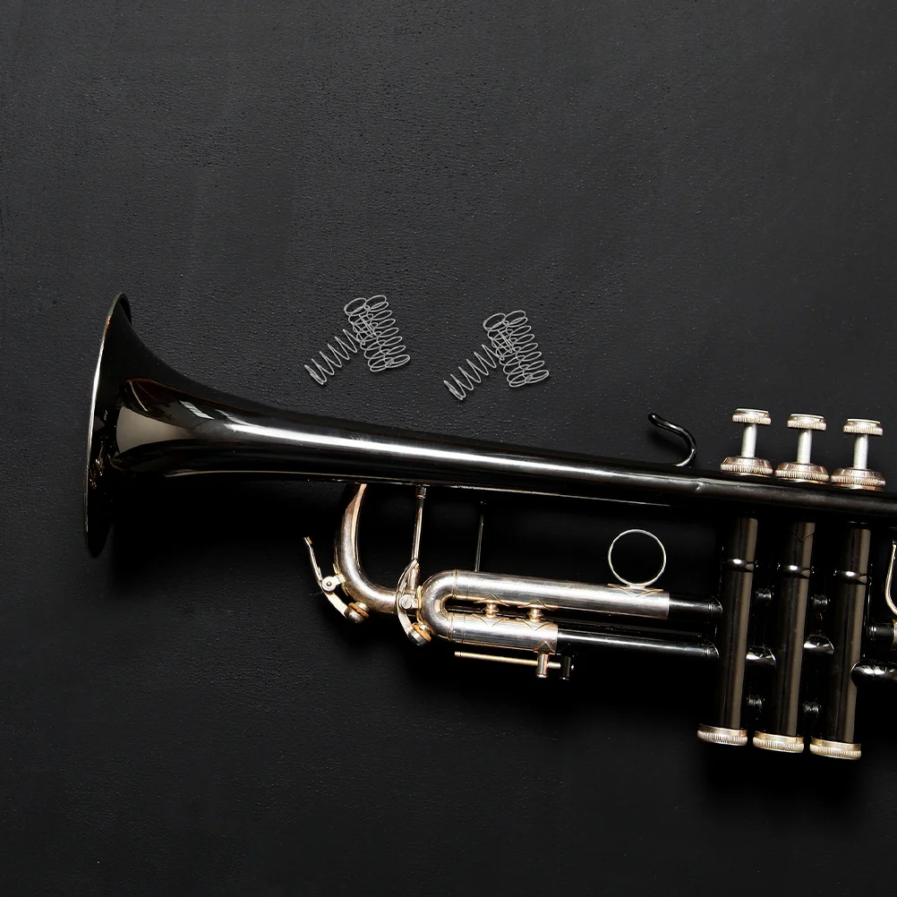 

6Pcs Replacement Trumpet Springs Stainless Steel Robust Tenor Horn Spring Set Long Term Use Convenient Storage Trumpet Part Kit