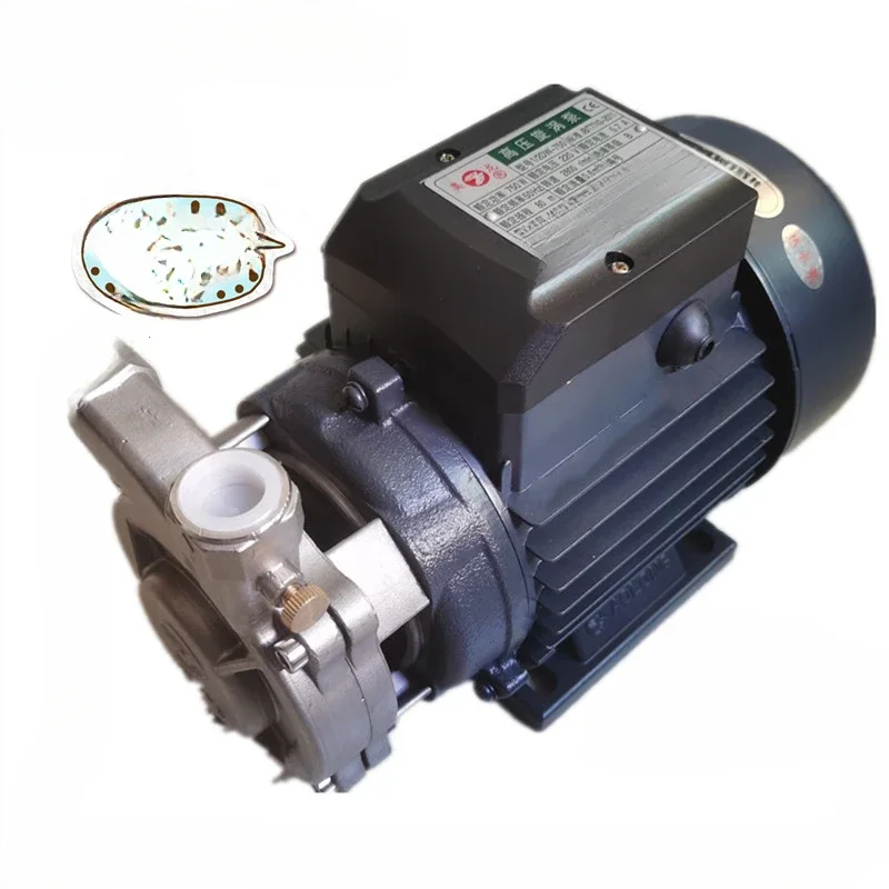 Stainless steel high-pressure vortex pump 1/2DW750 watt electric biomass gas steam generator boiler water pump