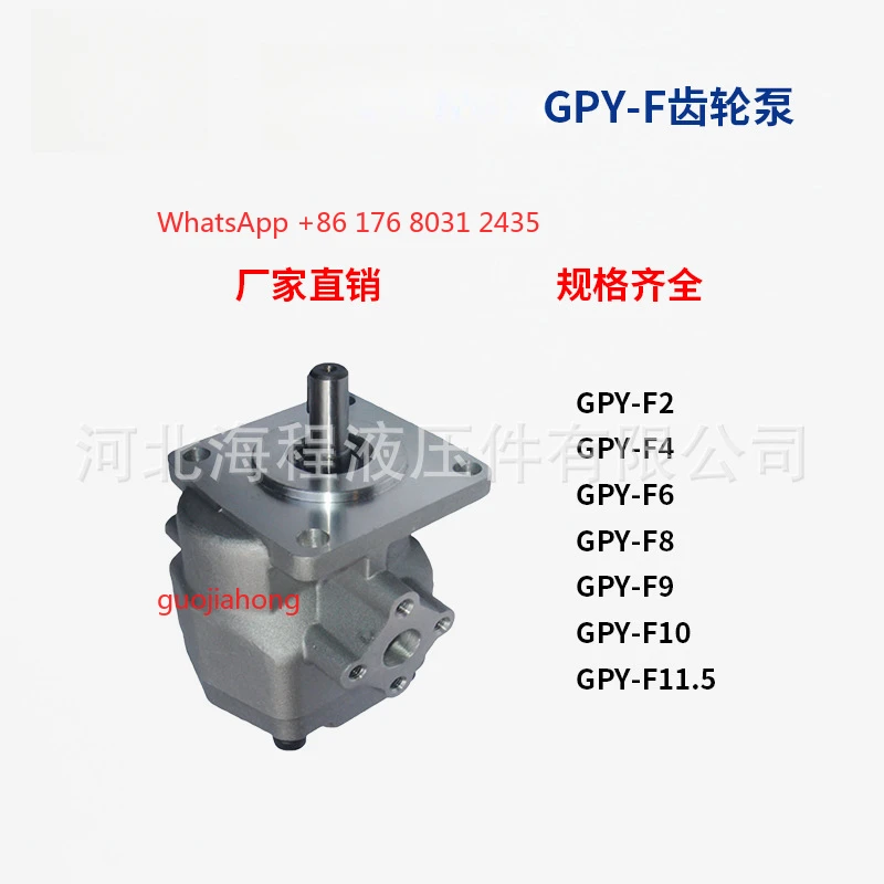 مضخة تروس GPY-F يابانية، ضوضاء منخفضة، إزاحة 2-11.5 #1