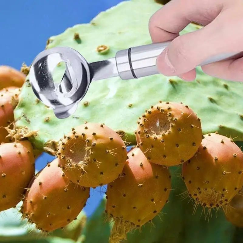 Stainless Steel Cactus Peeler Spoon Spoon Shaped Nopales Peeler for Home Kitchen Manual Tool for Peeling Cactus Leaves Cooking