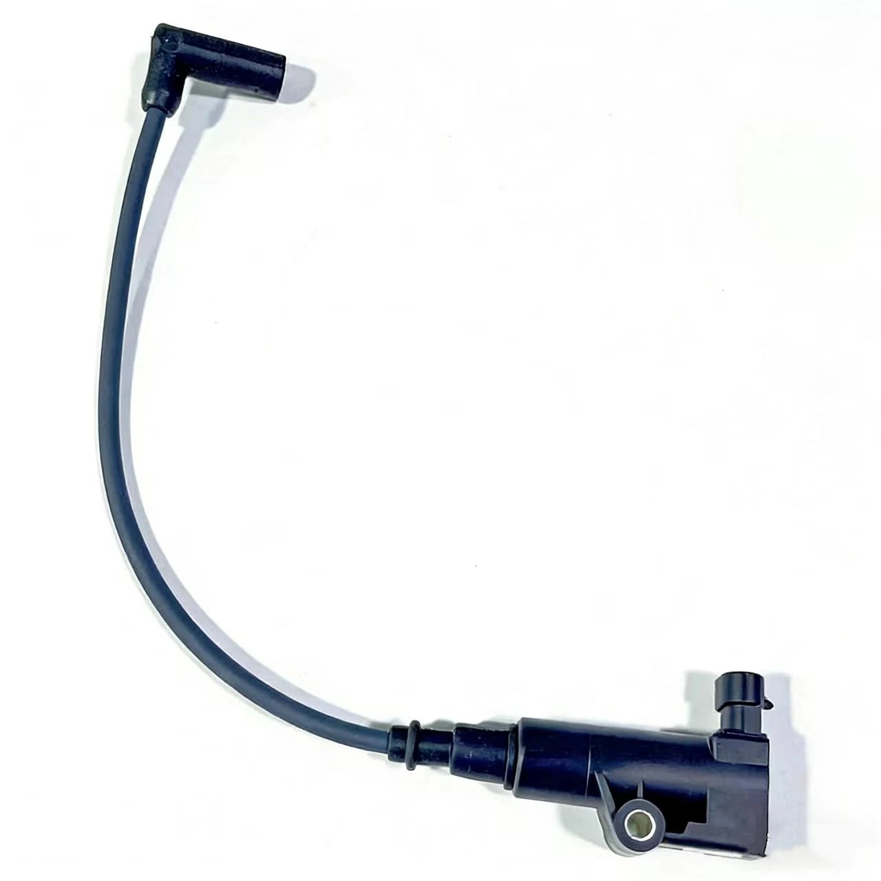 Ignition Coil and Wire for Rural King RK Performance 250 450 550 33100-116-0000 33120-113E-0000 BDW-IN-103
