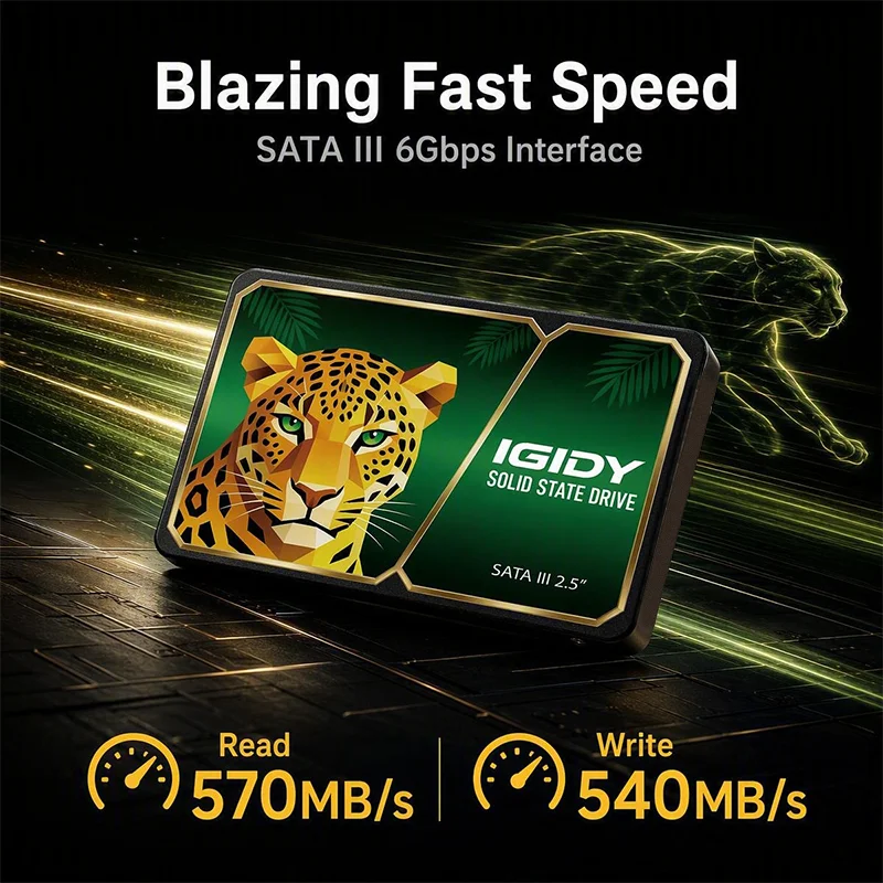 IGIDY 2.5 Inch SATA III SSD 128GB 256GB 570MB/s High Speed 3D NAND Internal Solid State Drive