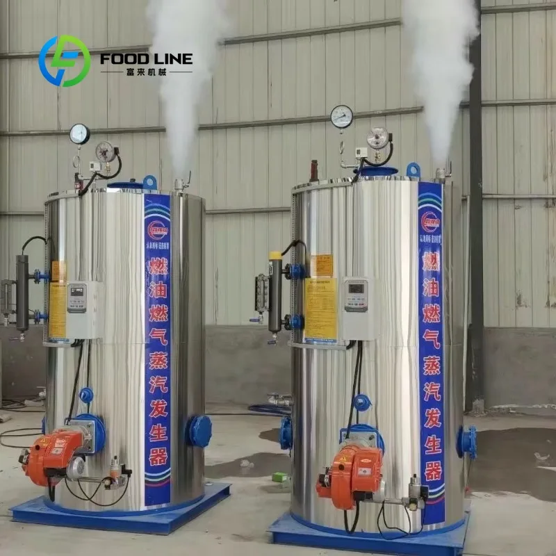 Customizable Gas Diesel Steam Generator 100kg 300kg 600kg Vertical Fast Start Up Automatic Control for Manufacturing Plant