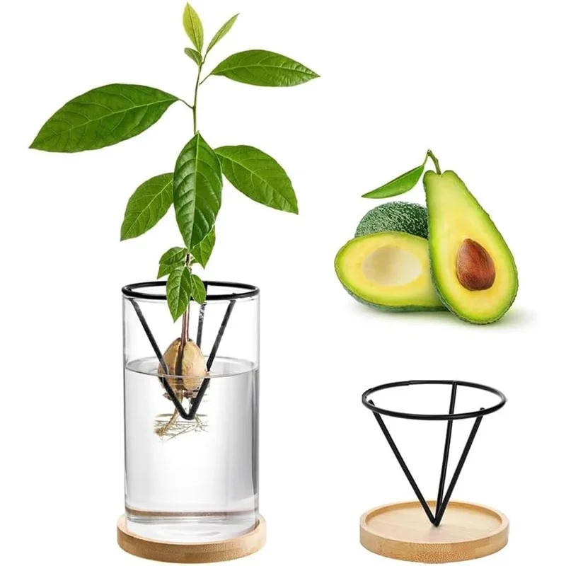 Black Metal Conical Hydroponic Support Stand, Plant Seed Sprouting Holder, Desktop Seed Germination Rack For Home Indoor Decor