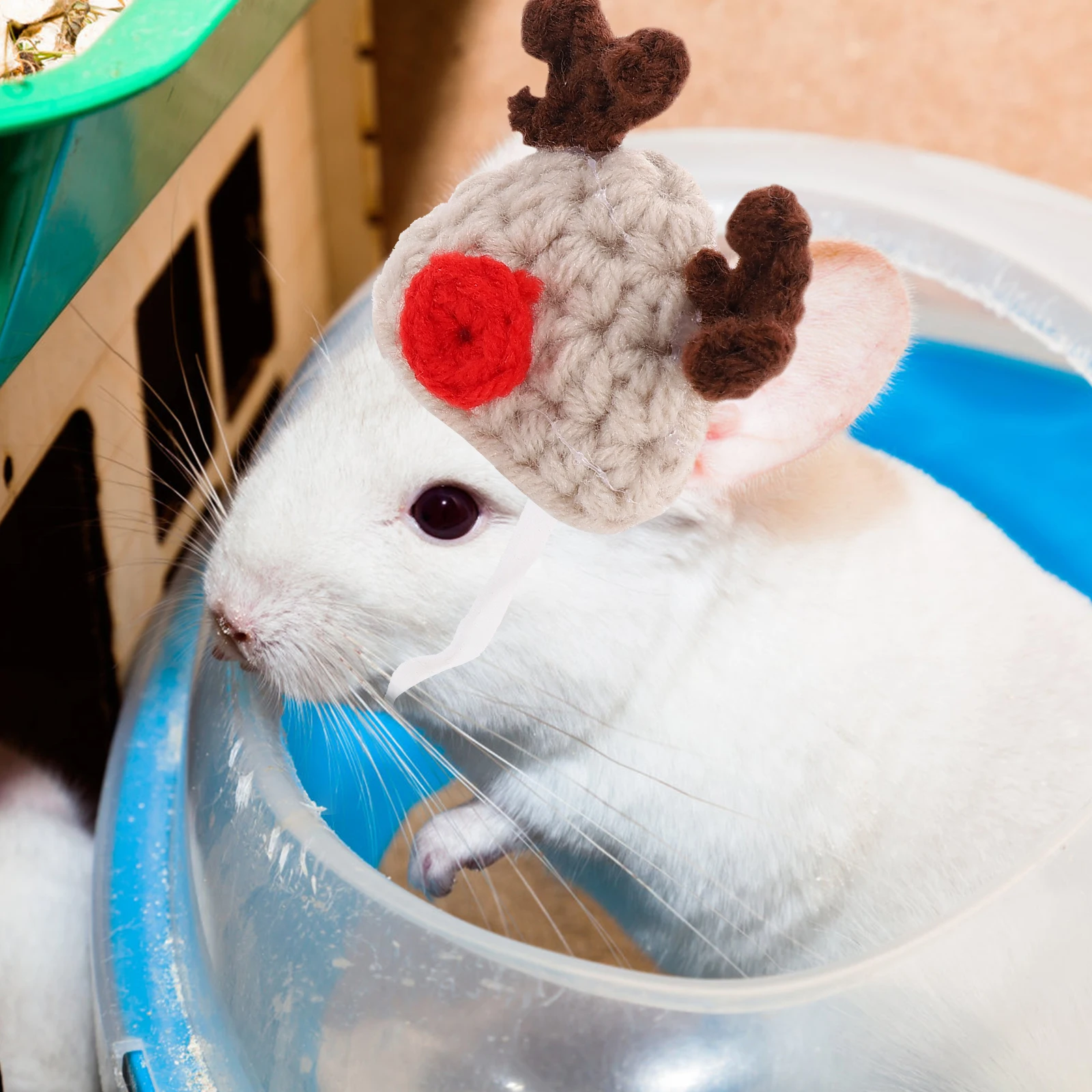 

Outdoor Hat Newborn Pet Groom Acrylic Head Accessories for Hamster Mini Hats