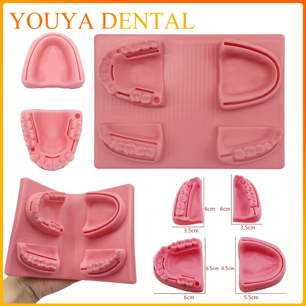 

Dental Oral Periodontitis Suture Model Gum Suture Surgical Practice Medical Skin Suture Pad Model Silicone Suture Practice Kit