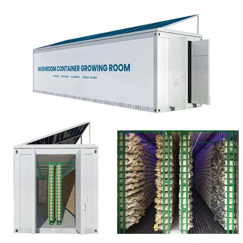 Custom 20ft 40ft Mushroom Farming Growing Container Mushroom Fruiting Room for Year Round Cultivation
