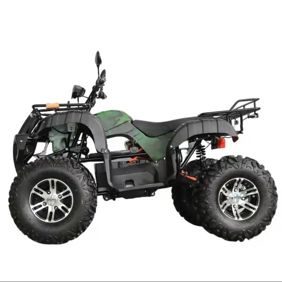 Electric Mini Car 2024 Multifunctional Outdoor Electric Car 1000cc 4x4 Can-am New Energy Vehicles Auto Atv Ev Car For Adults