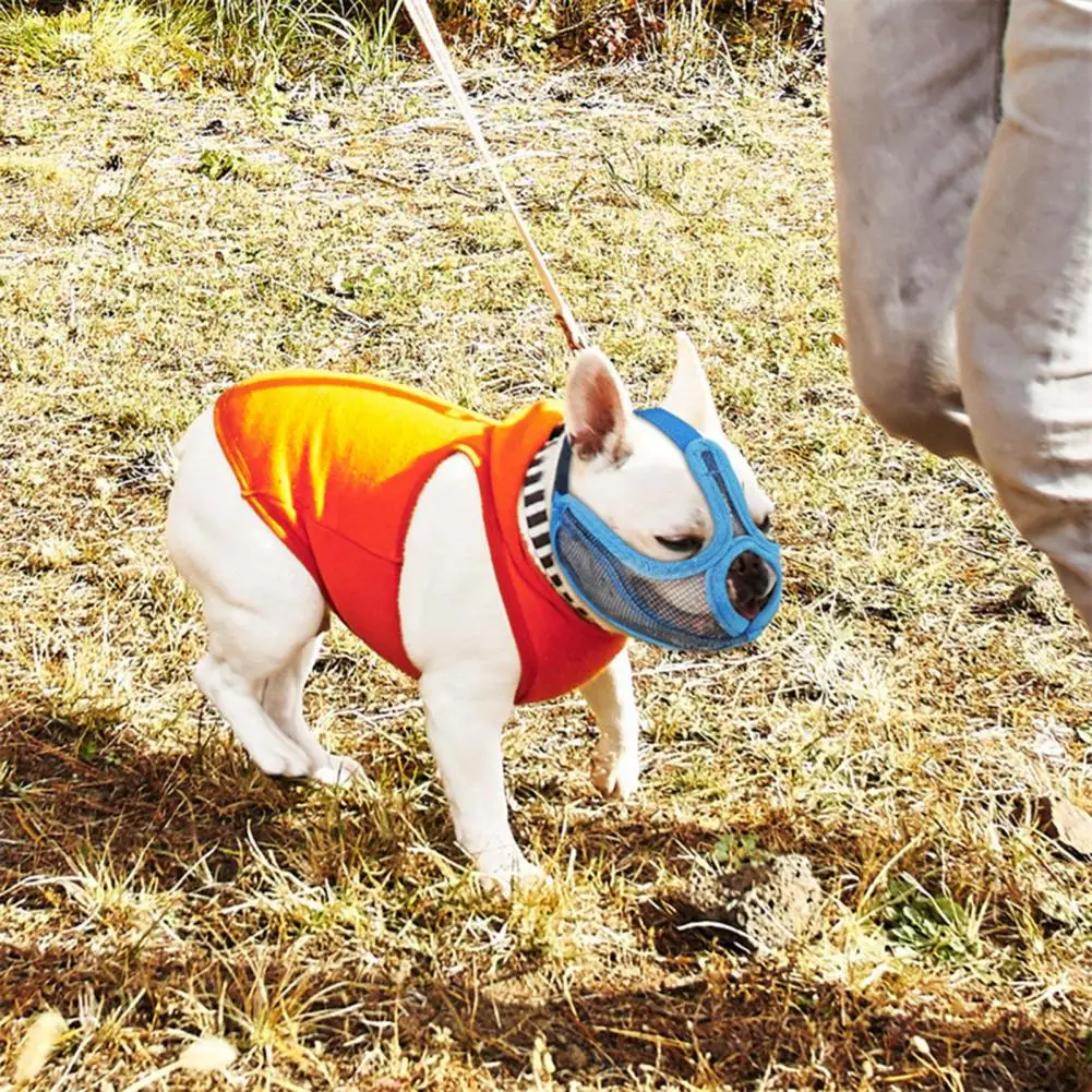 

Anti-bite Breathable Biting Eating Dirty Things Dog Special Muzzle for Outing