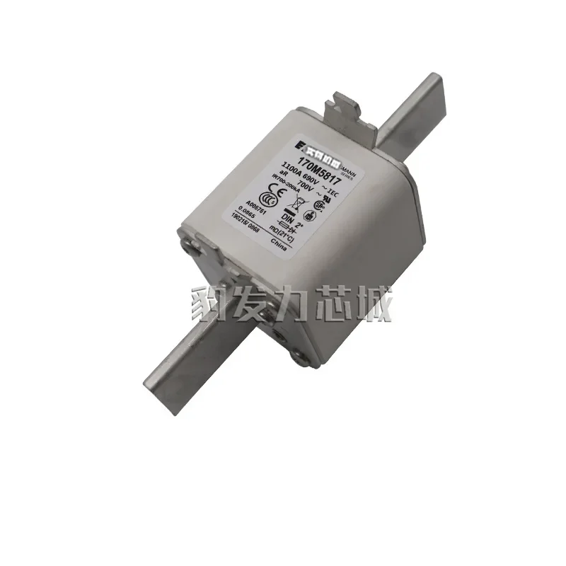 

170M5966/5967/5968/5969/5970/5971/5972/5973/5974/5975 Fuse