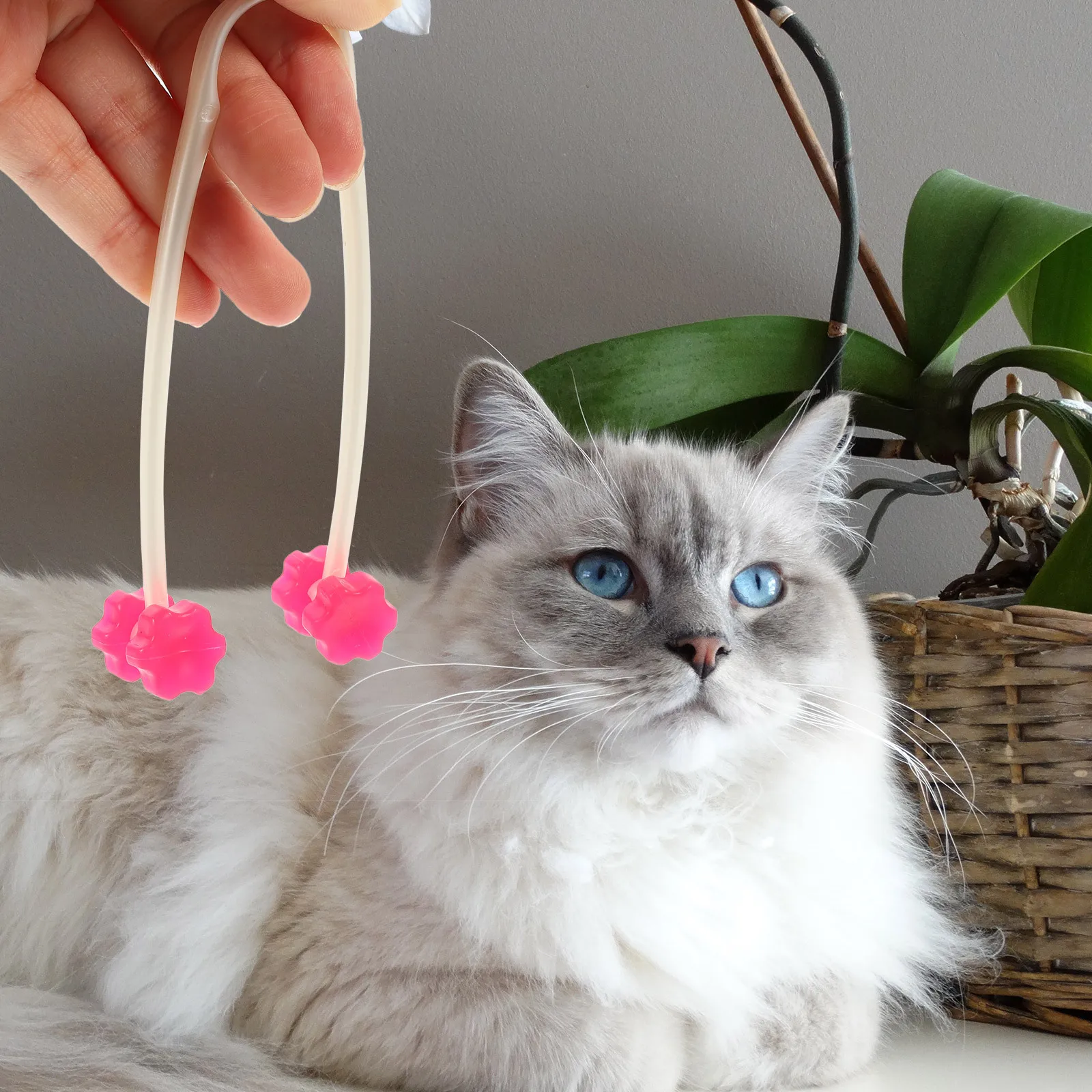 Cat Massage Roller Thin Face Massager Size S for Puppy Dog Cat Kitty Legs Grooming Tool Massage Device