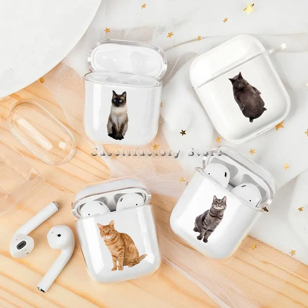 Cute Cat Drawing Case for Airpods 1 2 3 Pro Airpod Pro 2nd Kawaii Pet Animal Protector Cover Capybara Box Air Pod Cover Funda