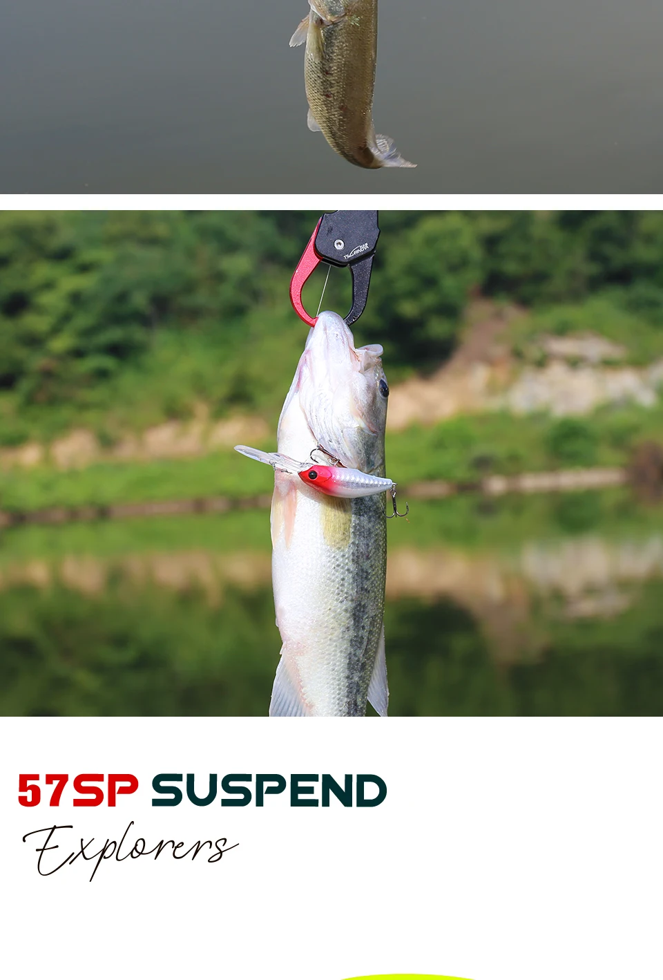 TSURINOYA Dive 2-4m Suspending Minnow 57mm 8.3g EXPLORERS 57SP Long Casting Pike Bass Fishing Lure Artificial Hard Bait Jerkbait