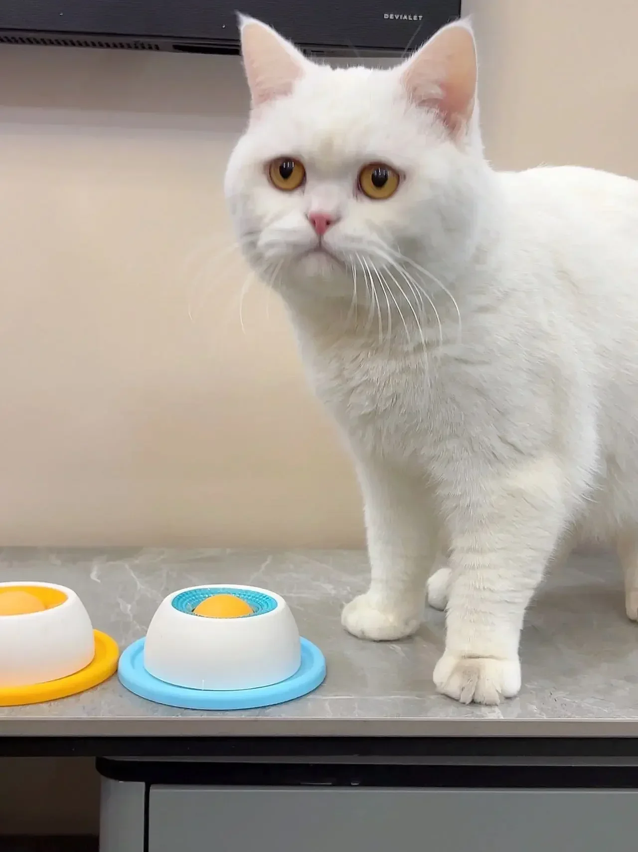 Haustier-Leckspielzeug, Slow-Feeder-Spender, Interaktives Reizmaterial, Trainingszubehör für Hunde, Katzen und Welpen – Detail 15