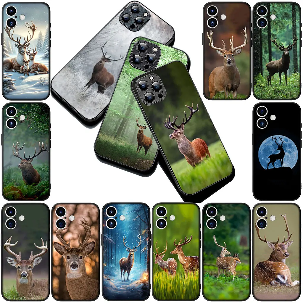 ΠΡΠ³ΠΊΠΈΠΉ ΡΠ΅Ρ
ΠΎΠ» Π΄Π»Ρ ΡΠ΅Π»Π΅ΡΠΎΠ½Π° Forest Deer Hunting buck Π΄Π»Ρ Samsung Galaxy S25 S24 S23 FE Ultra Plus S7 Edge S25+ S23+ A15 A16 ΠΠ°ΡΠΈΡΠ½ΡΠΉ ΡΠ΅Ρ
ΠΎΠ» ΠΡΠ³ΠΊΠΈΠΉ ΡΠ΅Ρ
ΠΎΠ» Π΄Π»Ρ ΡΠ΅Π»Π΅ΡΠΎΠ½Π° Forest Deer Hunting buck Π΄Π»Ρ Samsung Galaxy S25 S24 S23 FE Ultra Plus S7 Edge S25+ S23+ A15 A16 ΠΠ°ΡΠΈΡΠ½ΡΠΉ ΡΠ΅Ρ
ΠΎΠ»