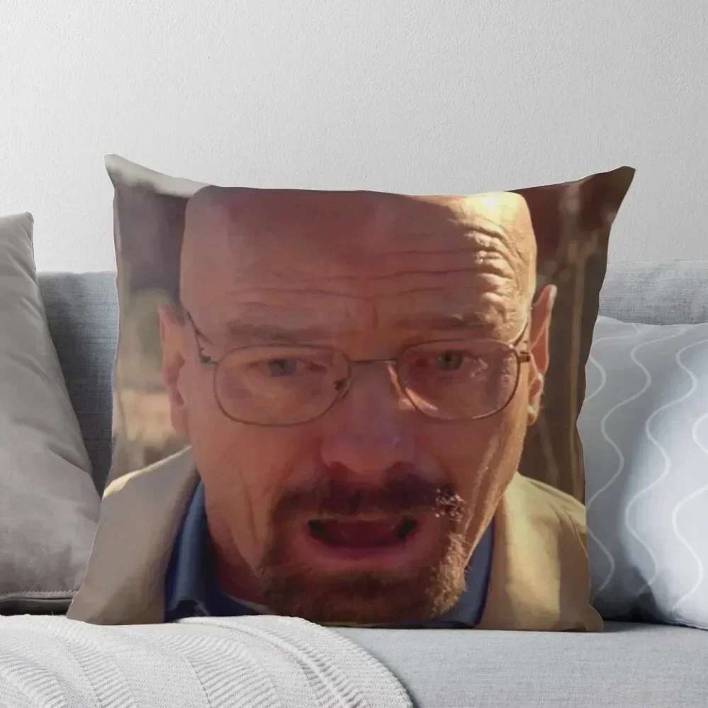 

Walter White Meme Throw Pillow Custom Cushion Cushions For Decorative Sofa pillow
