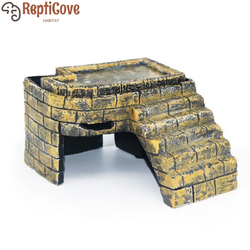 Turtle Basking Plat…