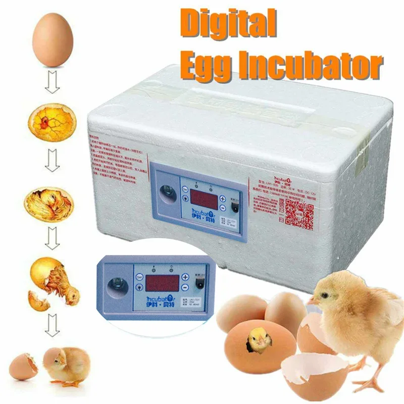 Imagem -03 - Incubadora de Ovos de Controle Automático de Temperatura Doméstica Ferramentas de Incubação Cama Dágua Biônica Espuma 20 Ovos