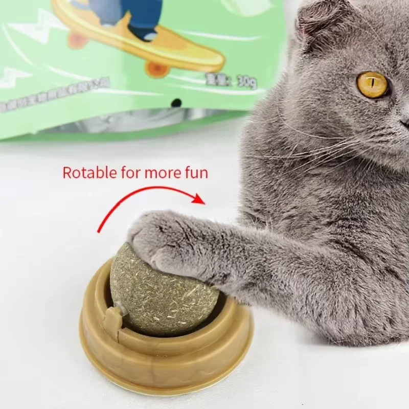 Adesivo da Parete per Gatti co - Catnip Toys recensione e prezzo