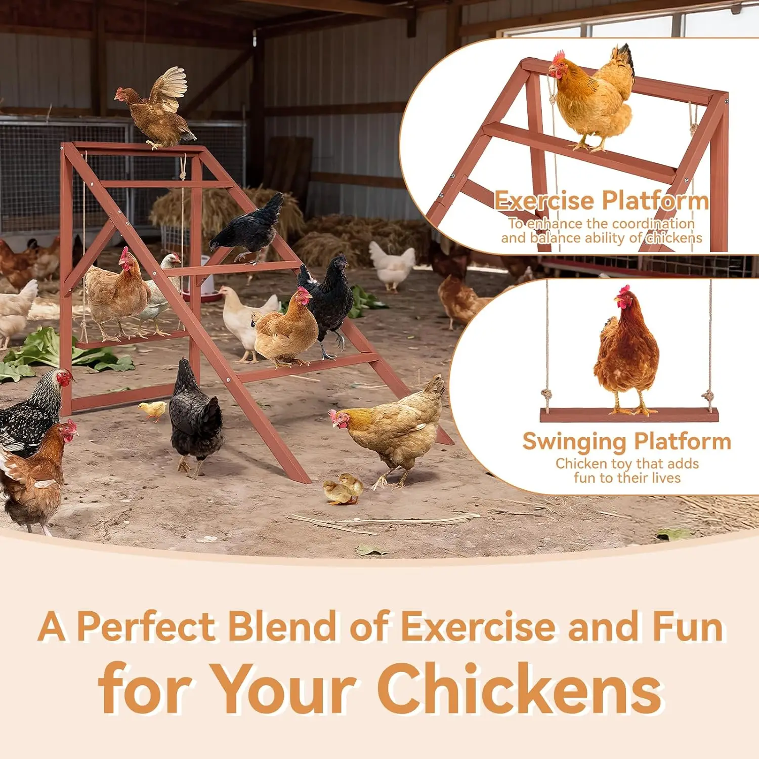Backyard Chicken Coop, Fir Wood, No Color Specified, Multi - Level Design with Roosting Bars & Swings, Durable and Easy Assembly