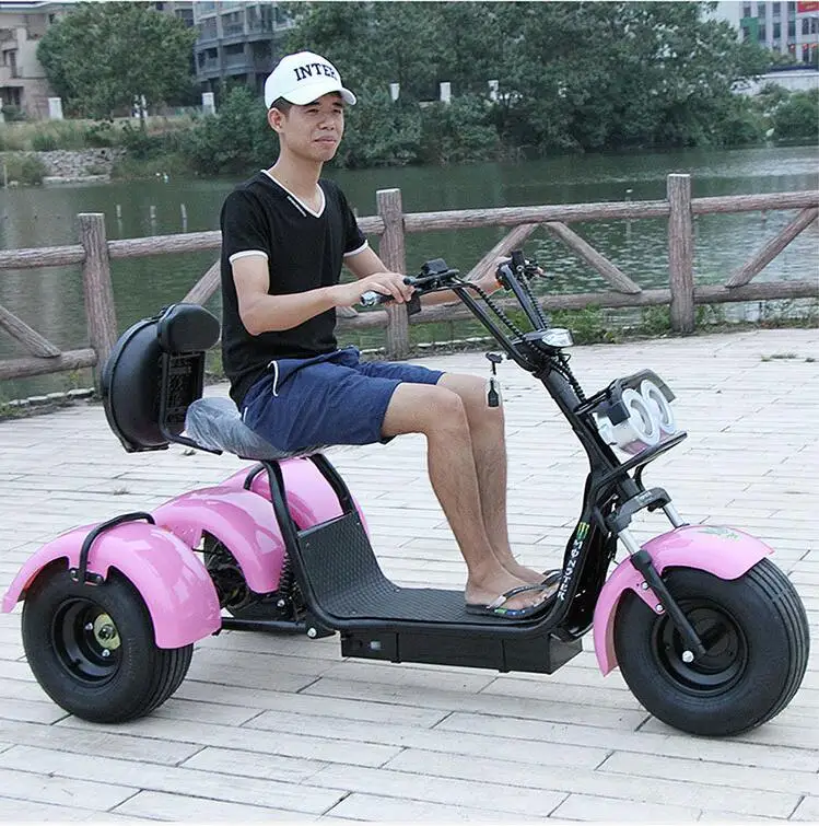 

2017 citycoco 3 wheels 200km off road 500w three wheel scooter electric three wheel scooter zappy roadpet ginger mypet with CE