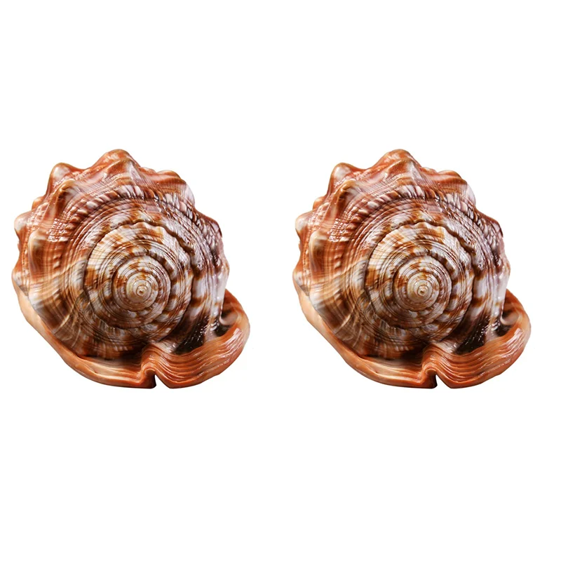 الطبيعية الثور الفم خوذة محارة قذيفة المرجان البحر الحلزون خزان الأسماك تزين زخرفة 2Pcs-B61B