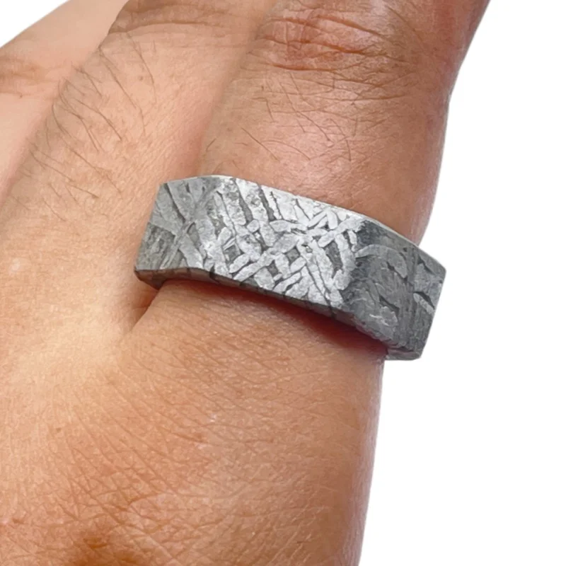 Muonionalusta Meteorite Geometric Ring, Premium Collectible