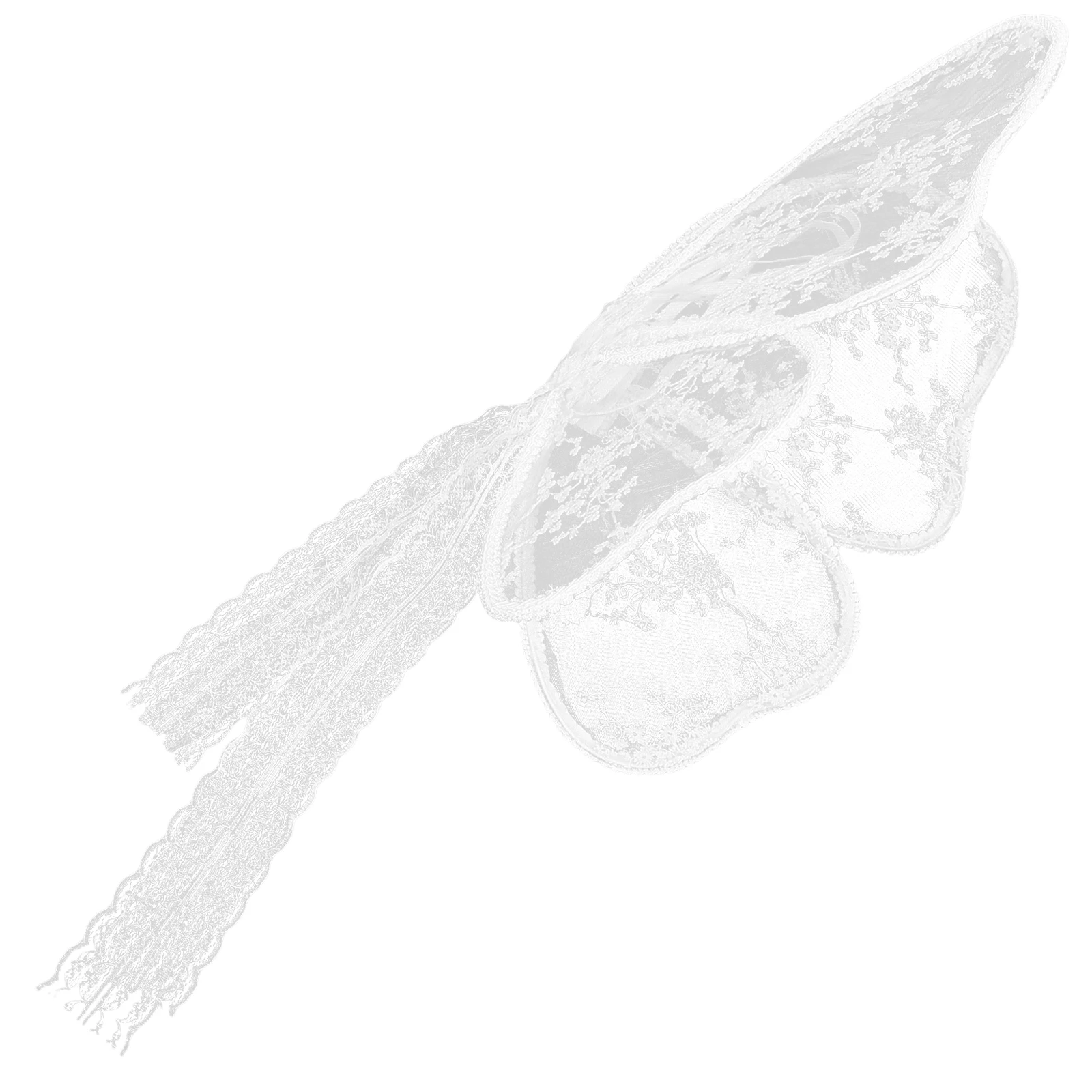 

Lace Butterfly Wings Props Costume Fairy Wing Accessories for Girls Plastic Cloth Material Cosplay Party Supplies Stage