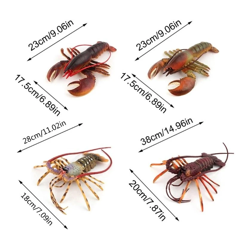 Realistic Lobster Mini Figurine Marine Animal Model for Children Hobby Collector 15UB