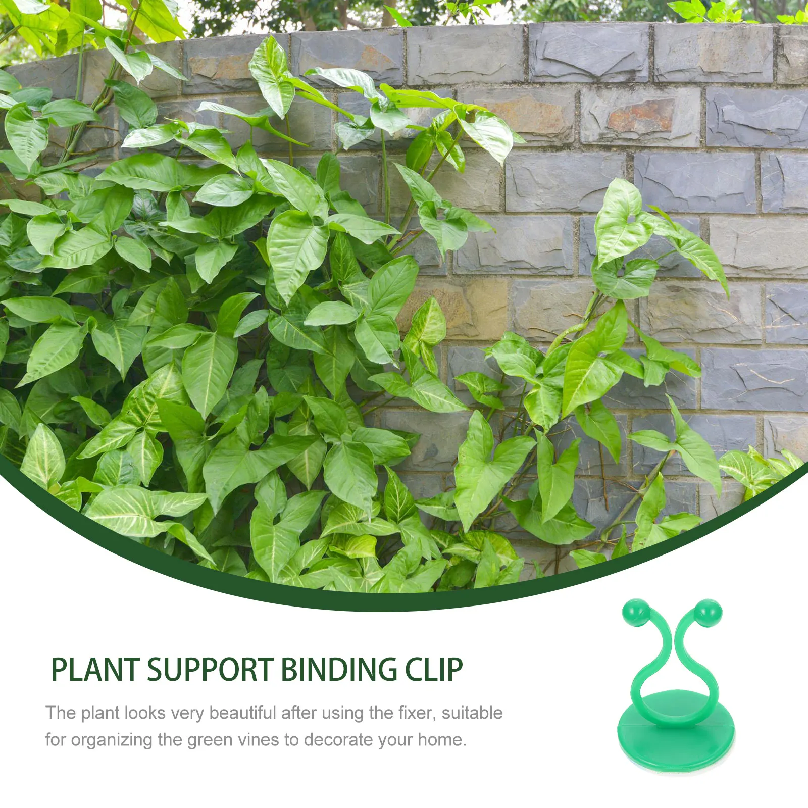 

50 Pcs Climbing Clips Vines Fixing Holders ABS Wall Hooks Plant Fixing Clip Wire Tools Shaping Accessories