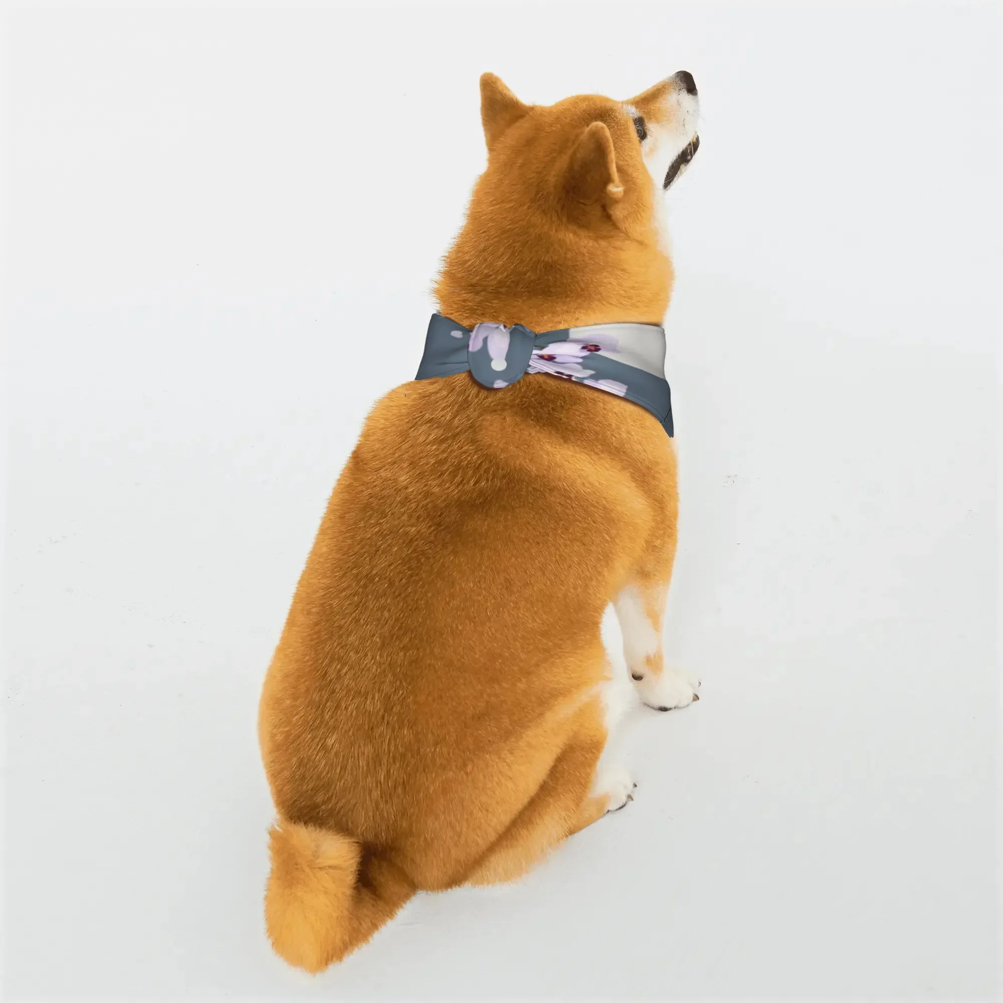 teestsccsccsss ssssss1031 sssteestsccsccsss ssssss1031 sss