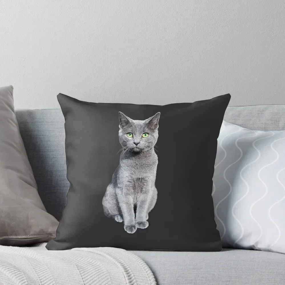 Russian Blue Cat Kitten Throw Pillow autumn decoration pillow cover christmas ornamental pillows pillow