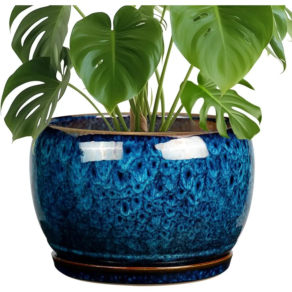 

SQOWL 10 Inch Plant Pot - Ceic Planter Pot with Drainage Hole and Saucer, Decorative Plant Pot or Indoor Outdoor Plants, Round L