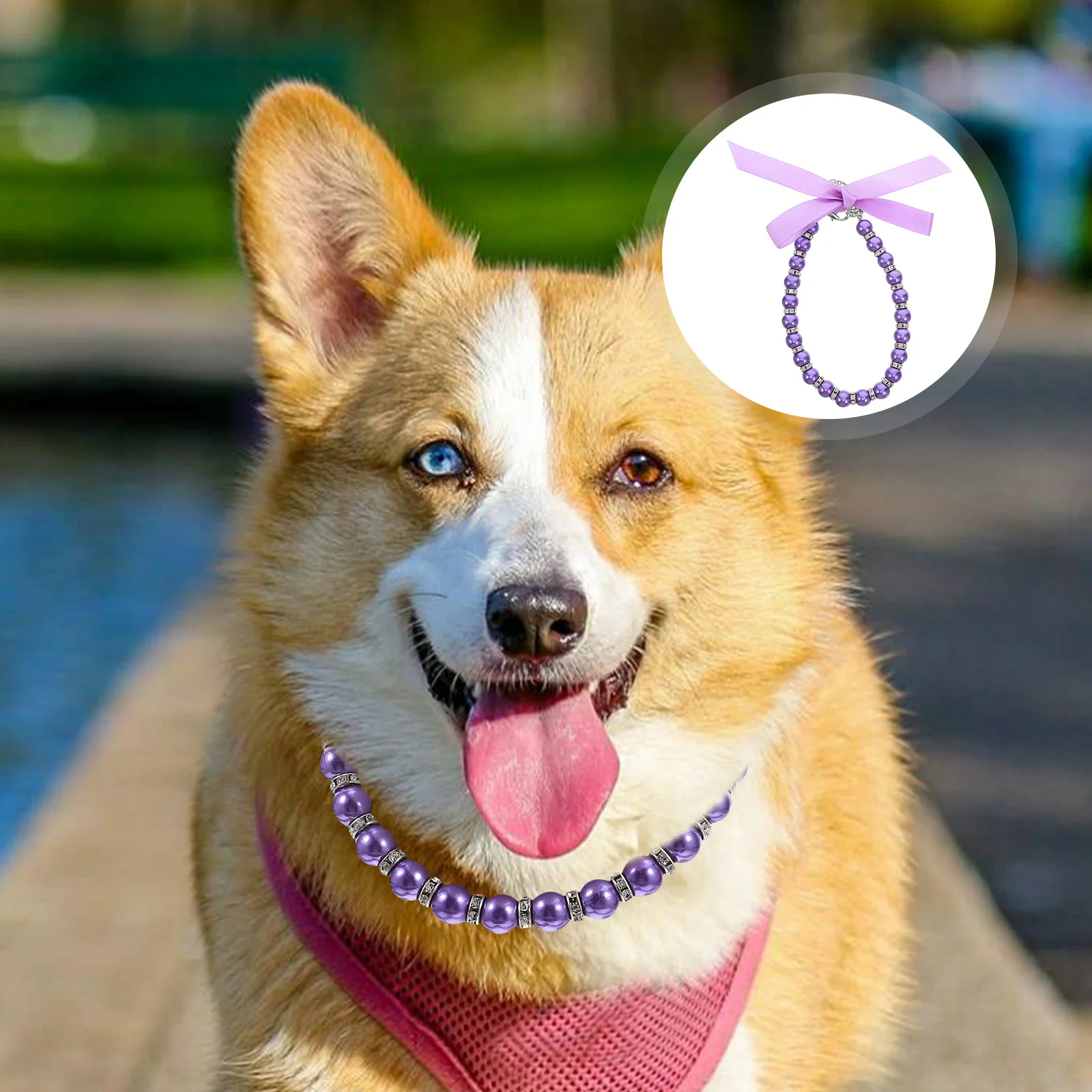 

Cat Necklace Imitation Pearls Bling Accessories Ribbon Bow Pet Jewelry for Female Dogs and Cats Purple