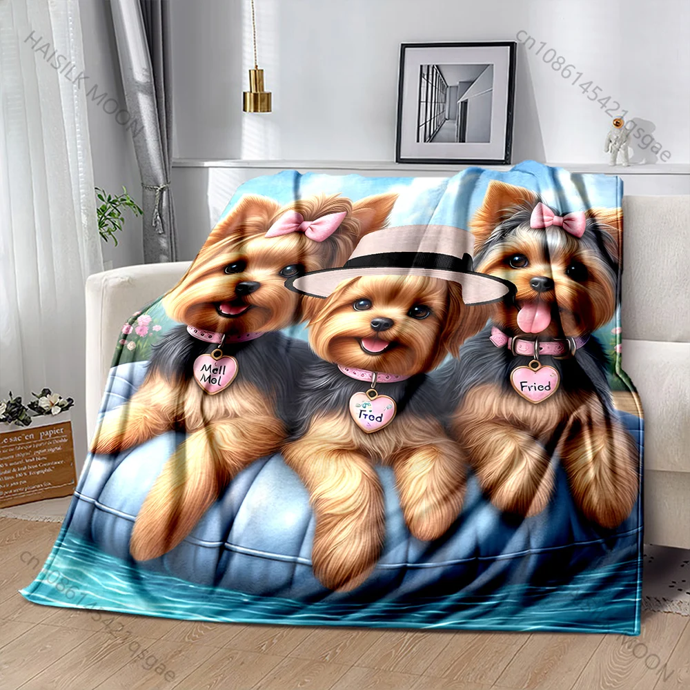 Bonito 3 yorkshire terriers co - Outdoor Kids Yorkshire avaliação e preço
