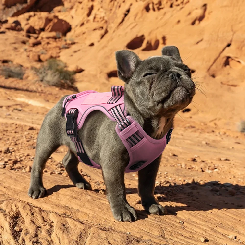 Arnês portátil para animais de estimação, buldogue francês, para cães pequenos e médios, multifuncional, colete com saco de cocô, acessórios para mascotas
