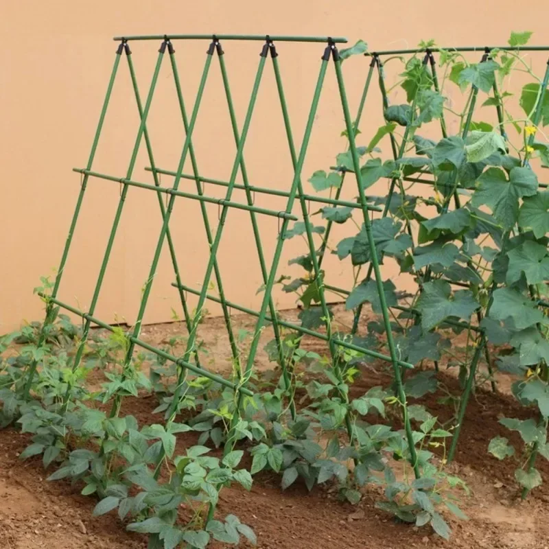 

18Pcs 3 Horizontal 6 Vertical Vine Support Frame, Garden Climbing Trellis For Tomato Cucumber Grape Passion Fruit