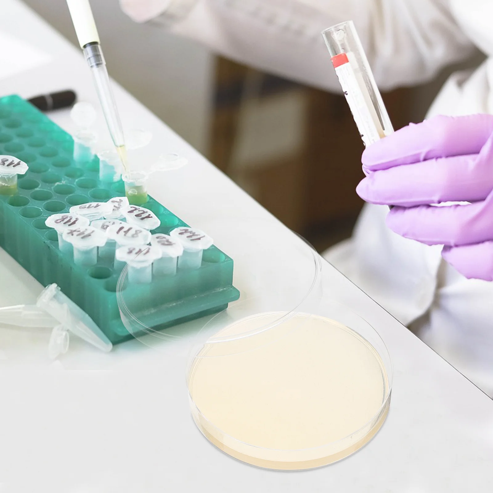 

10pcs Agar Plates Disposable Nutrient Agar Medium For Biological Determine Equipment Vacuum Packaging Sterile Bacterial Culture