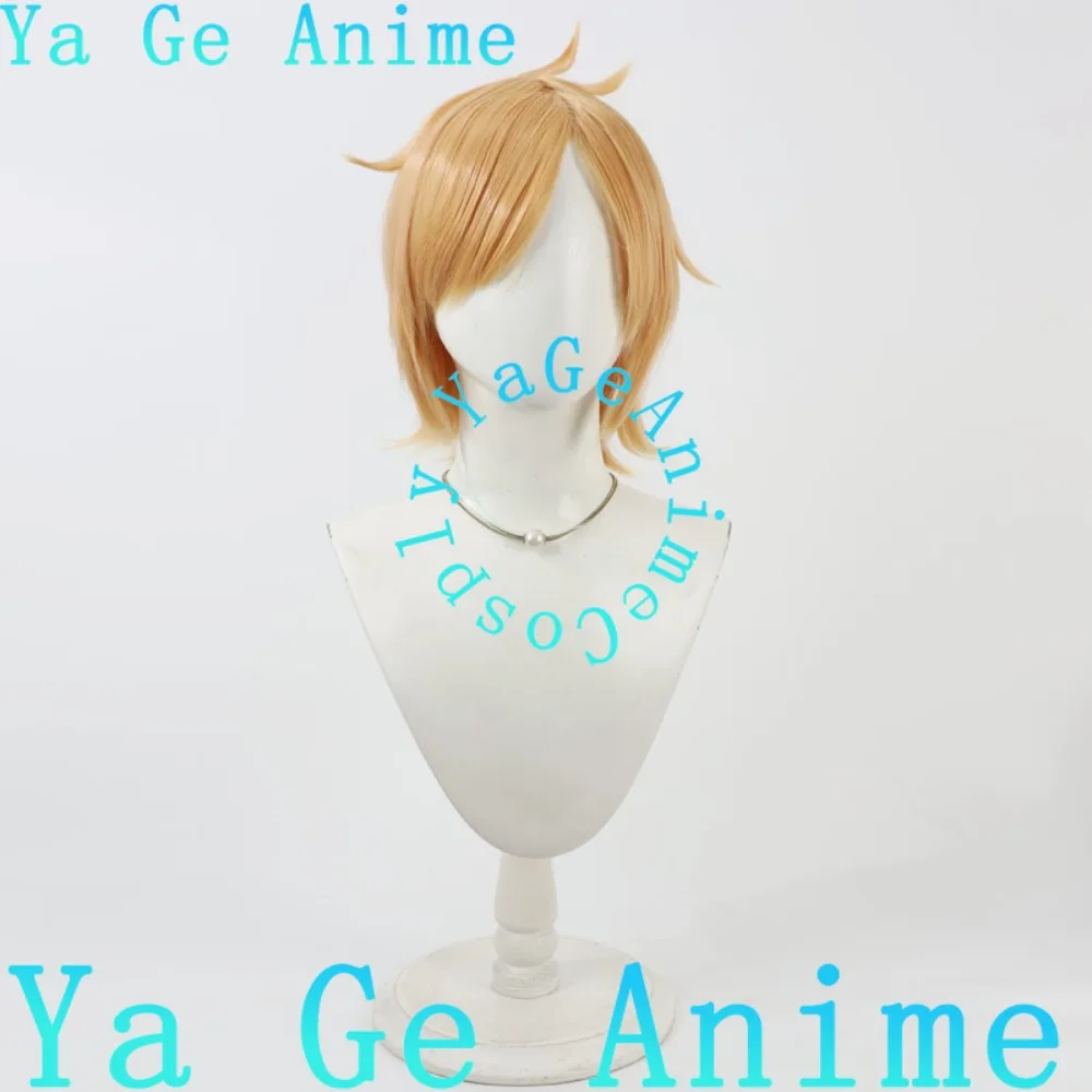 يا جي أنيمي توكين رانبو هوتشو توشيرو شعر مستعار تأثيري هالوين أنيمي لعبة الواقع تظهر شخصية شعر مستعار #5